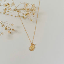 Load image into Gallery viewer, Naia Shell Necklace
